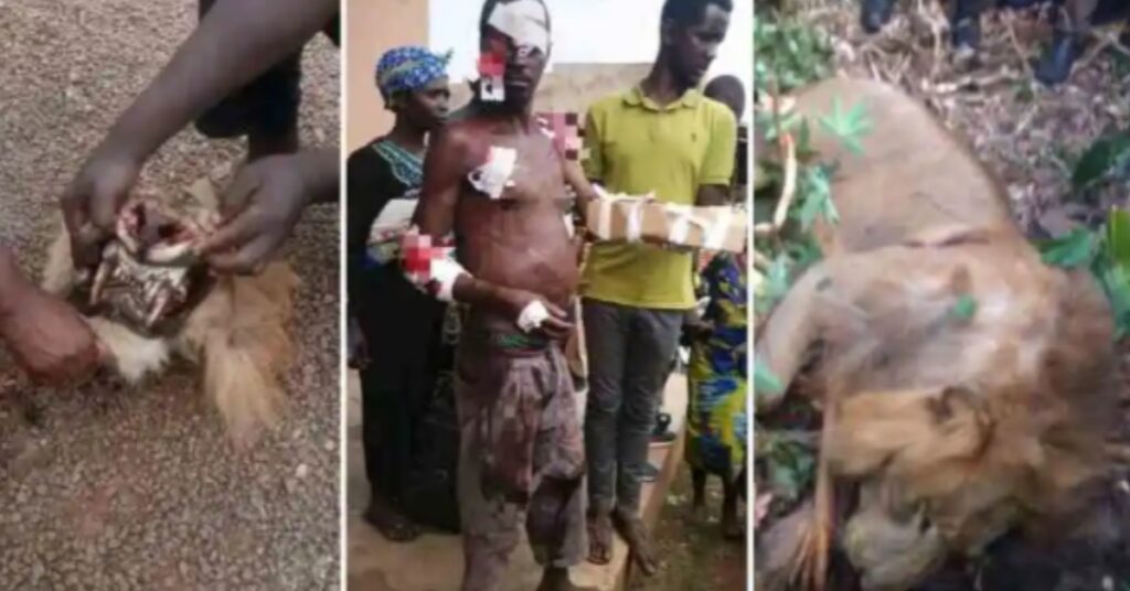 Ugandan man kill lion with his bare hand 