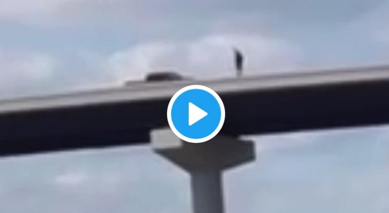 Unidentified Man Jumps off Bridge in Memphis In Video